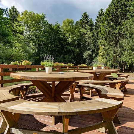 호텔 Waldhotel Am Nuerburgring 3*