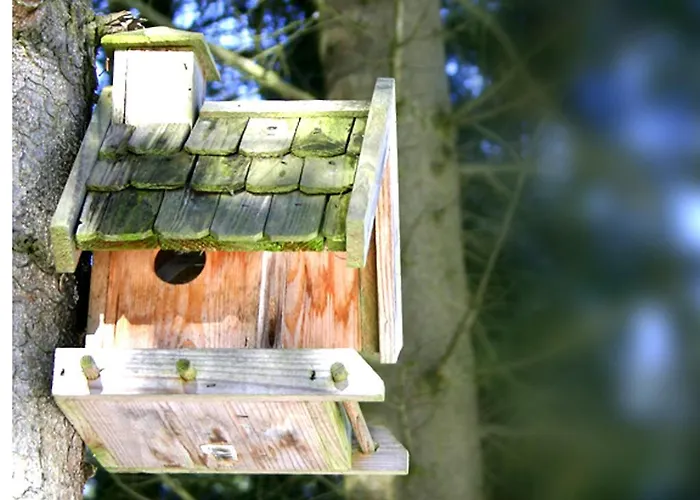 מלון Waldhotel Am Nuerburgring