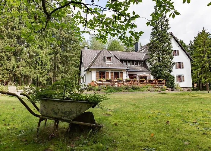 Waldhotel Am Nuerburgring מלון Baar (Rhineland-Palatinate)