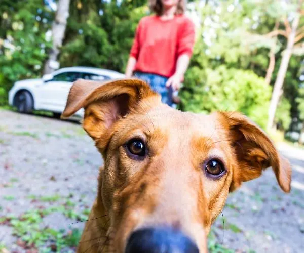 Waldhotel Am Nuerburgring 3*